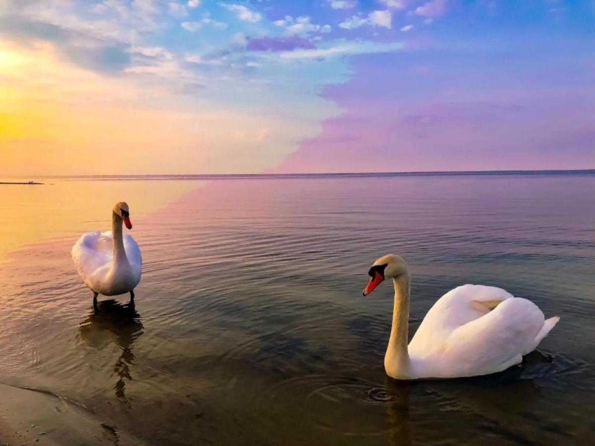 Апартаменты Sunsay Yurmala Юрмала Экстерьер фото